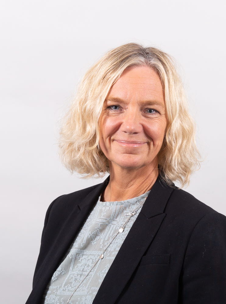 Ann-Sofie Hedenstein, kanslidirektör