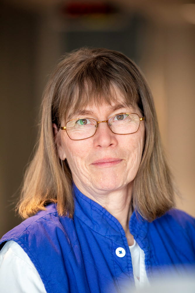 Inger Landgren, chefläkare primärvårdsförvaltningen